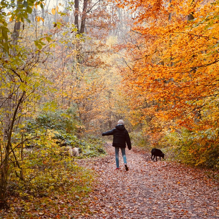 Mental health services in Vermont